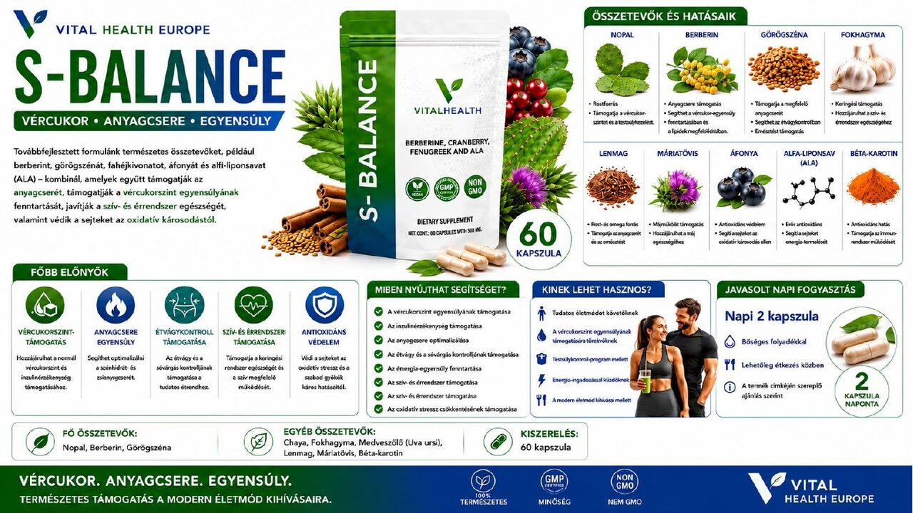S-BALANCE katalógusgrafika