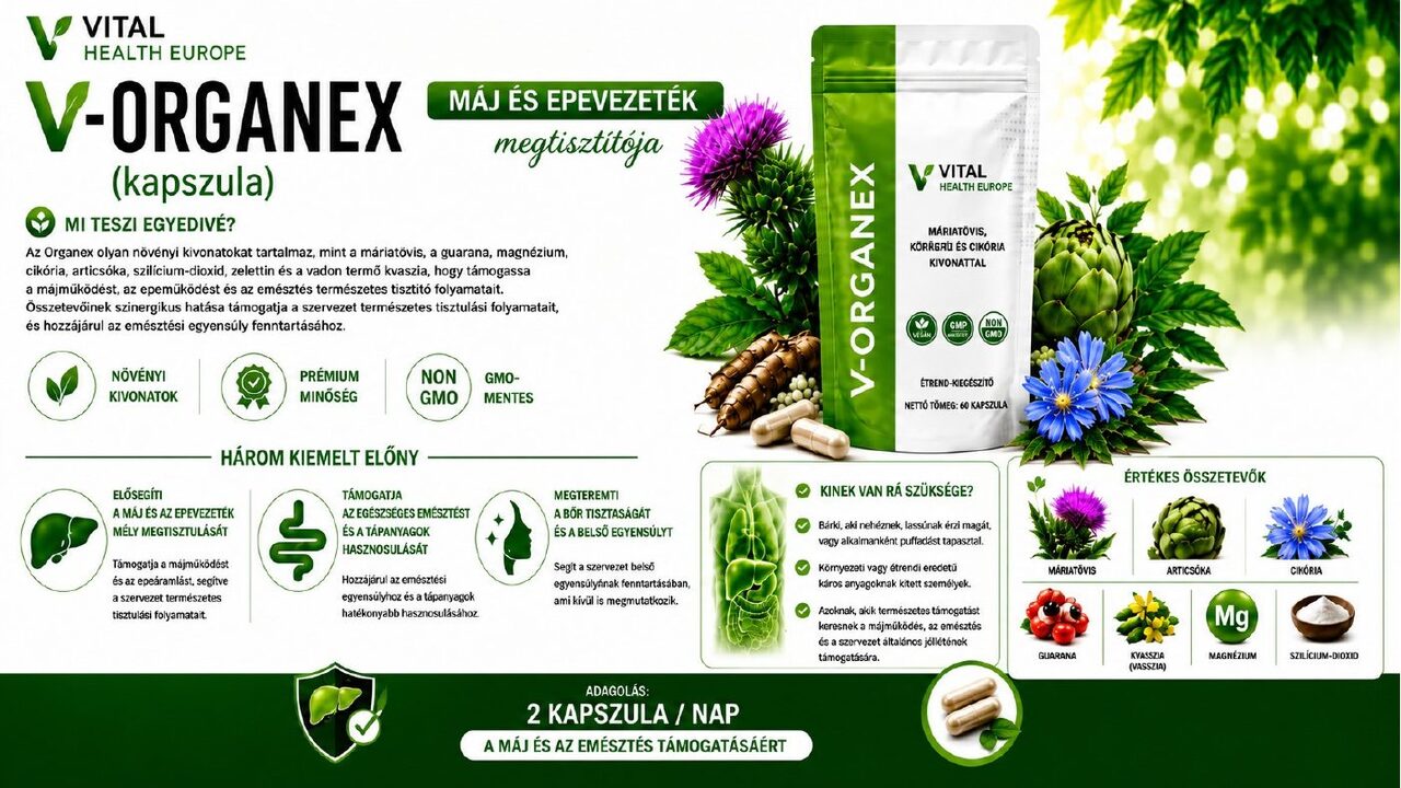 V-ORGANEX katalógusgrafika